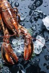 Membudidayakan Lobster Air Tawar? Simak Cara Ini