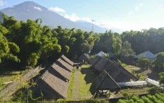 Berlibur Ke Hutan Pusuk yang Indah