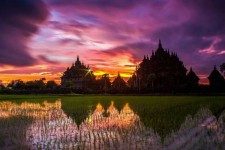 Wisata Candi di Yogyakarta, Ini Lokasi dan Harga Tiket Candi Plaosan