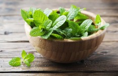 Mengandung Banyak Manfaat Dalam Daun Mint