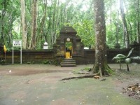 Tempat Melakukan Semedi, Inilah Mistis Hutan Alas Purwo