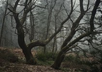 Cerita Seram di Kaki Gunung Tersembunyi, Berikut Kisah Gunung Ngakar