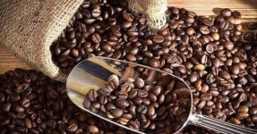 Mengenal Nikmatnya Kopi Arabika Arjasari Kabupaten Bandung