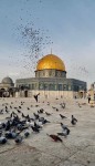 Benarkah Jika Palestina Merdeka Maka Akan Terjadinya Kiamat ? Berikut Penjelasannya 