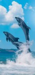 6 Fakta Unik Lumba-lumba yang Sangat Menarik Untuk di Ketahui