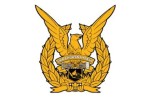 Insiden Pesawat Jatuh di Pasuruan, 3 Prajurit TNI AU Dikonfirmasi Meninggal Dunia