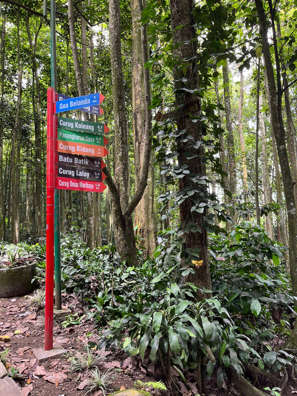 Menelusuri Tahura, Taman Hutan di Tengah Kota (Bagian-1)