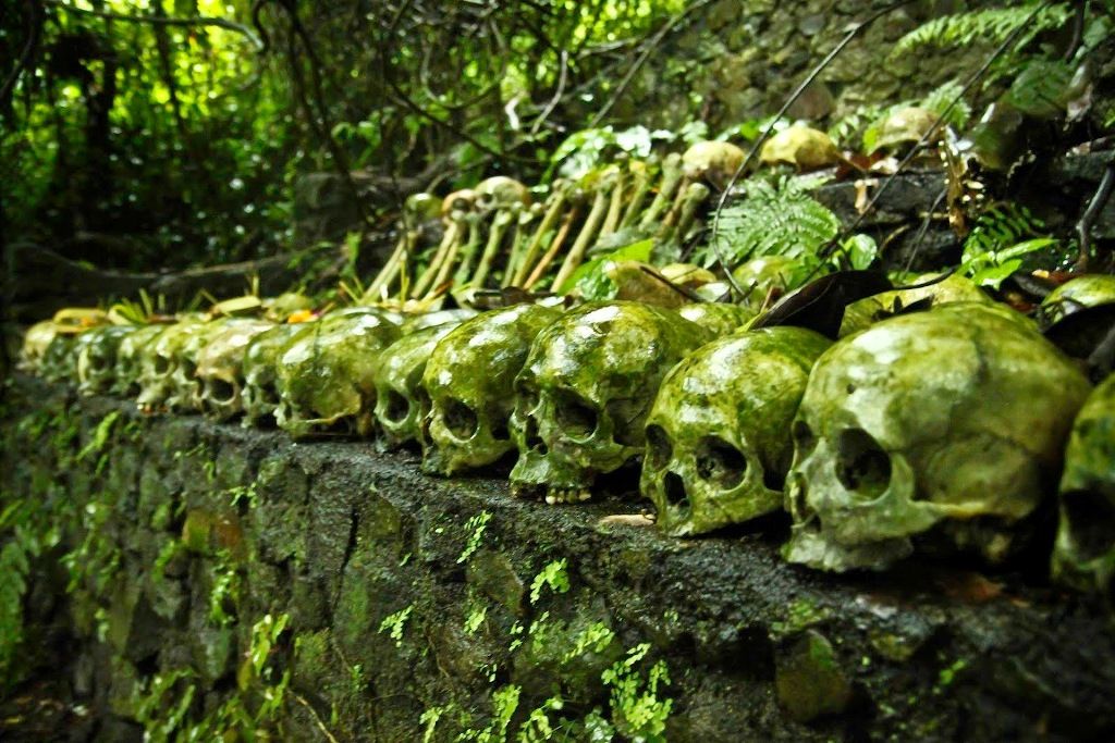 Tradisi Pemakaman Unik Cuma Ada di Desa Trunyan Bali